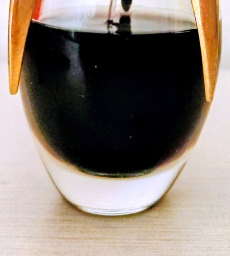 Lady gaga fame - fame,