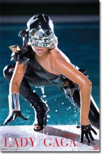 Lady gaga the fame pool - fame", 2009